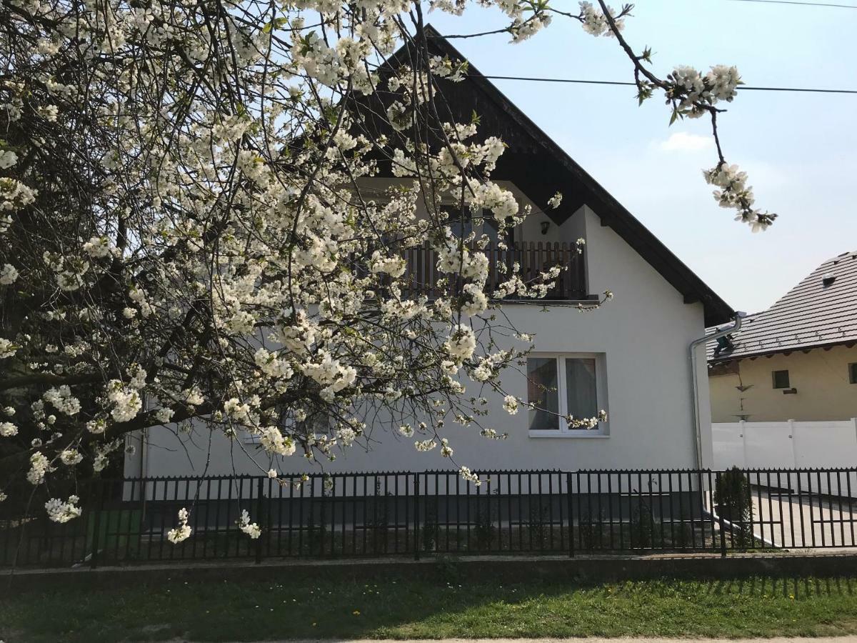 Hotel Szép Napot Vendégház Tordas Esterno foto