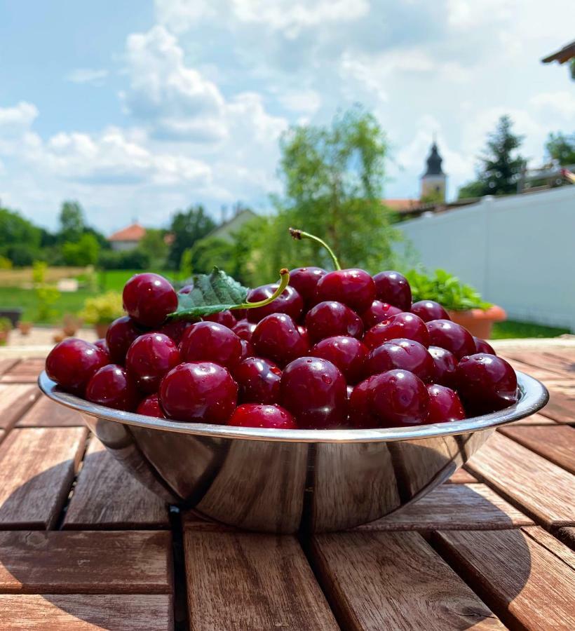 Hotel Szép Napot Vendégház Tordas Esterno foto